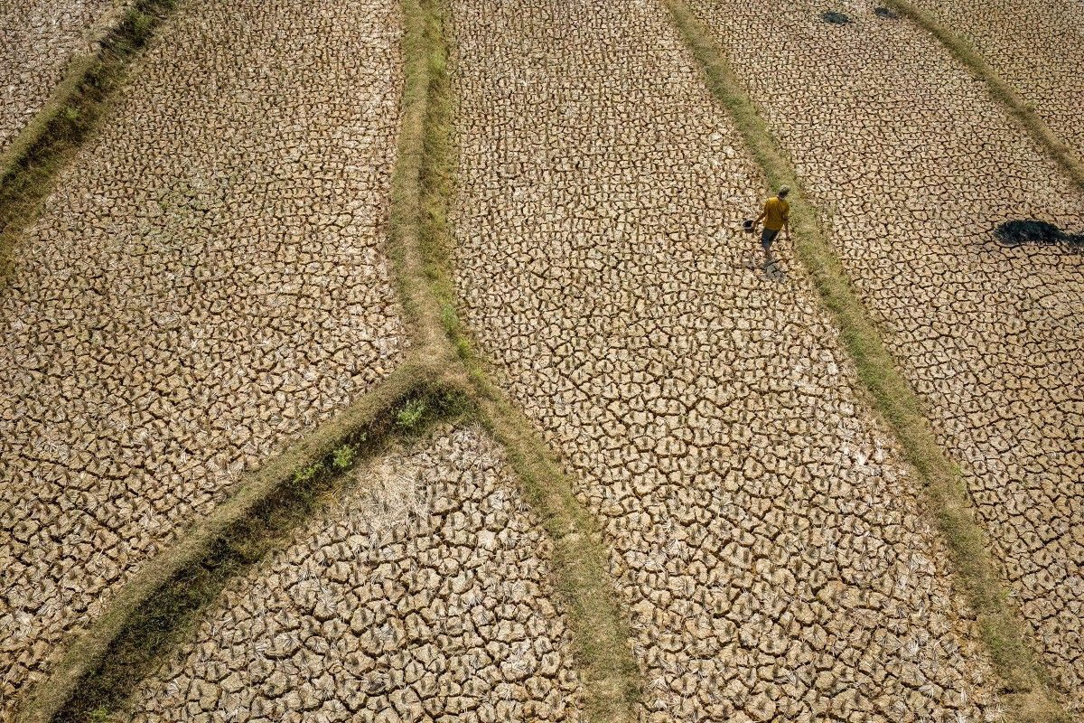 Las imágenes de las secuelas que ha dejado El Niño alrededor del mundo