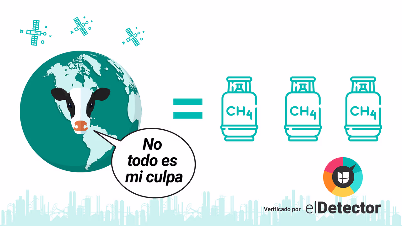 Image accompanying Las flatulencias de las vacas contaminan la atmósfera y son responsables del calentamiento global