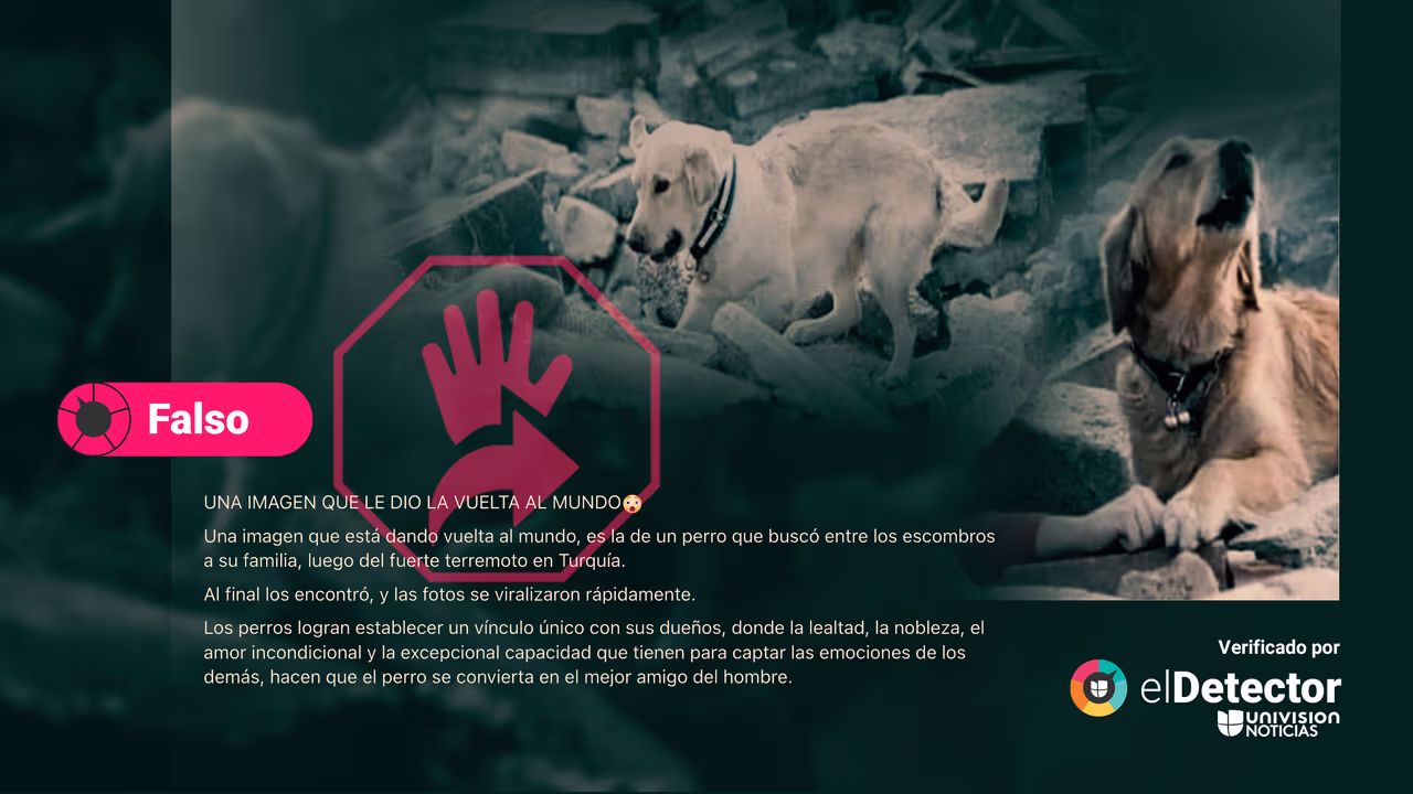Image accompanying Dos fotos muestran a perro que buscó y halló a su familia entre los escombros tras los terremotos de Turquía.
