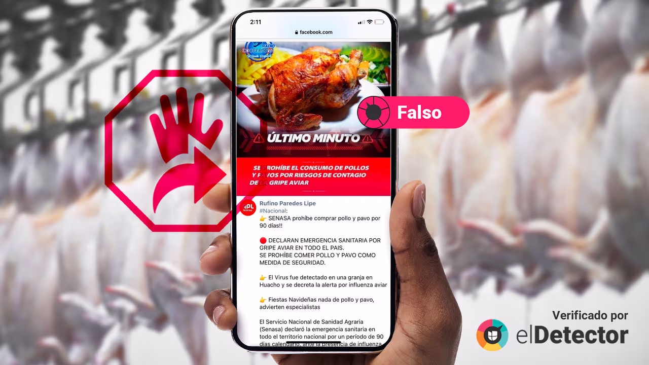 Image accompanying “Prohíben el consumo de pollo y pavo por la influenza aviar” en Perú.