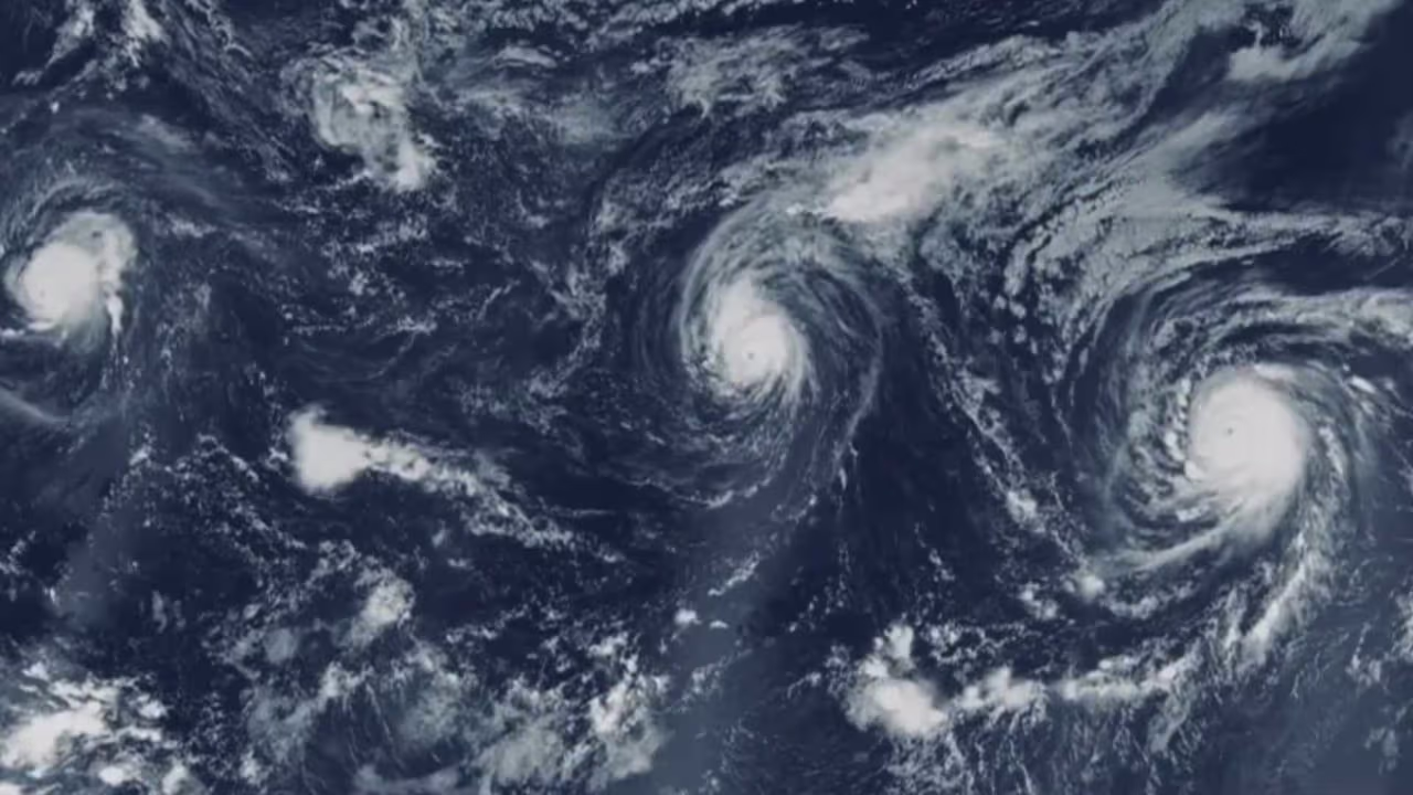 ¿Qué es el fenómeno “El Niño” y sus posibles consecuencias? | N+ ...