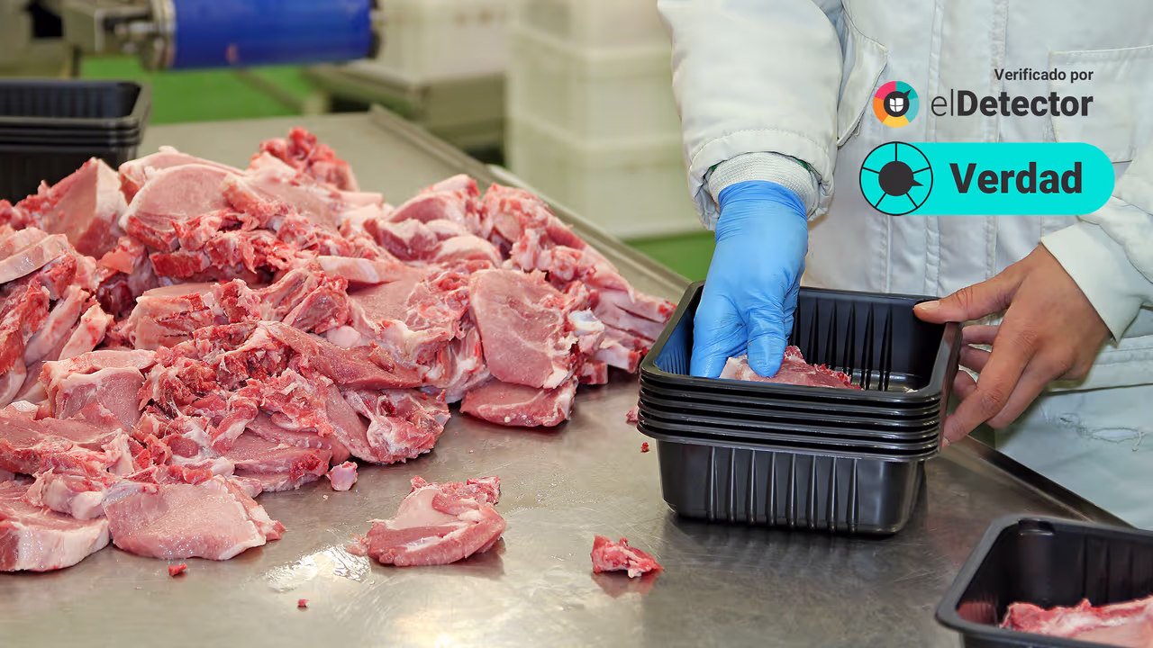 Image accompanying “También en algunas zonas del mundo sería conveniente consumir menos carne: esto también puede contribuir a salvar el medio ambiente”