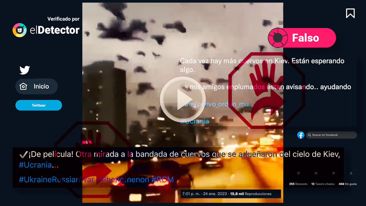Image accompanying Video muestra bandada de cuervos que se adueñaron del cielo de Kiev.