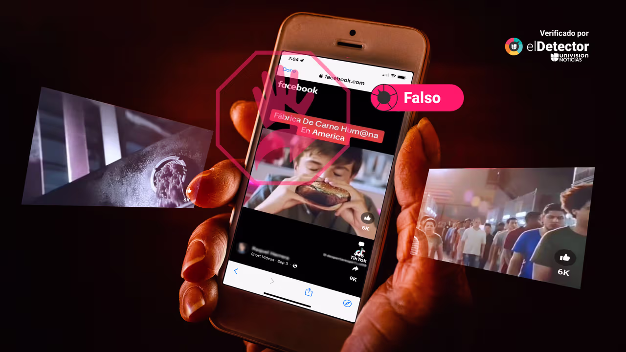 Image accompanying Este video muestra imágenes de una "fábrica de carne humana en América".