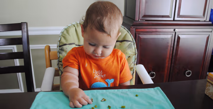 How Do I Begin Feeding My Child Solid Food? Try Baby-led Weaning ...