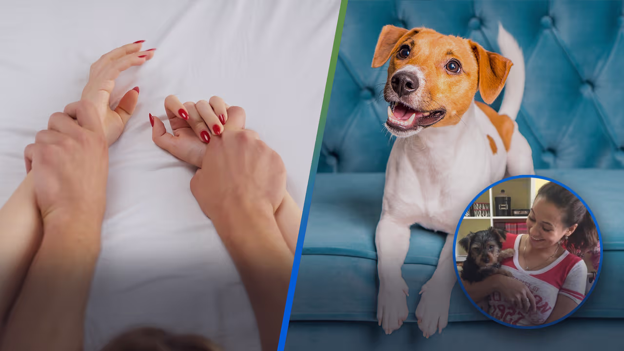 Revelan que no es bueno dejar que tu mascota te vea teniendo intimidad ...