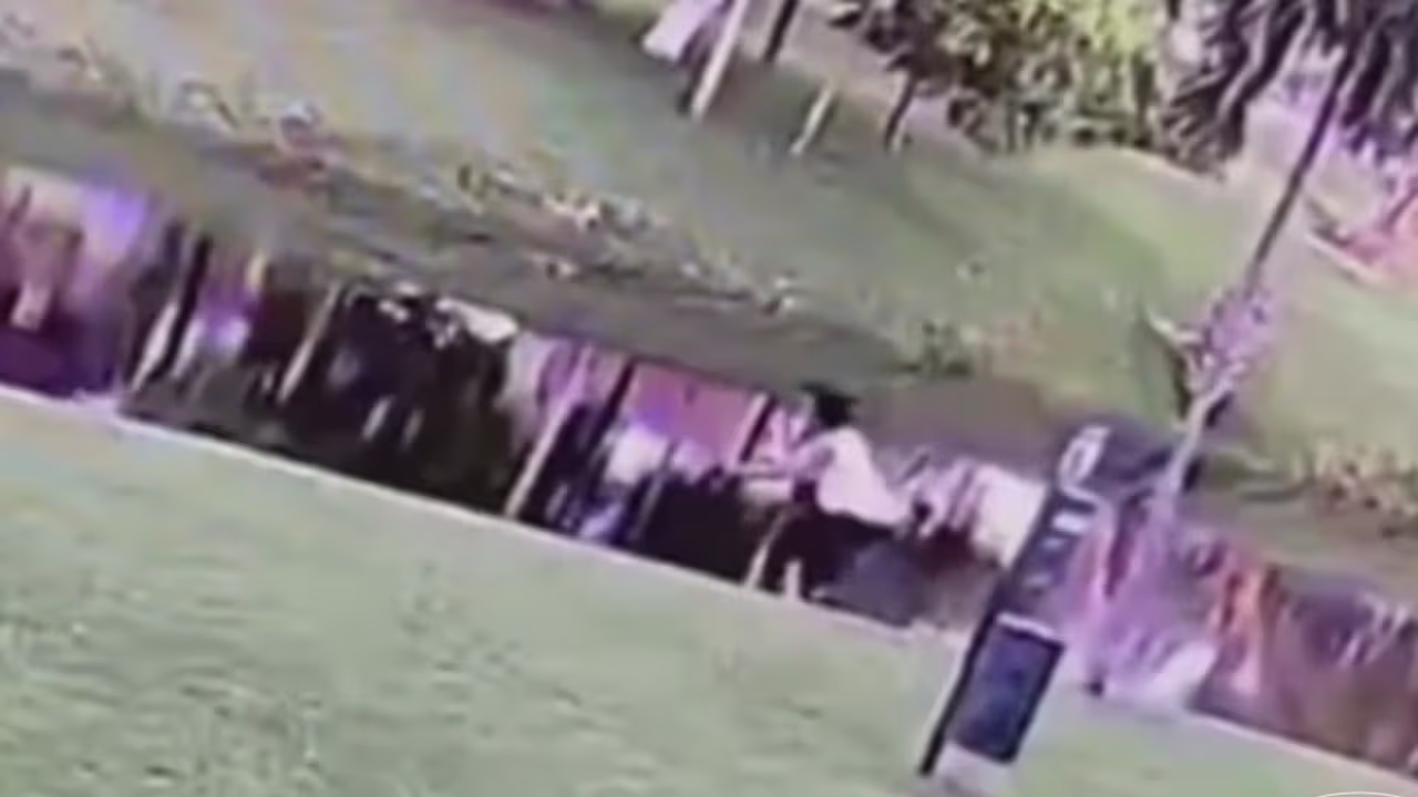 El aterrador video del momento en que una madre lanza a un canal a su ...