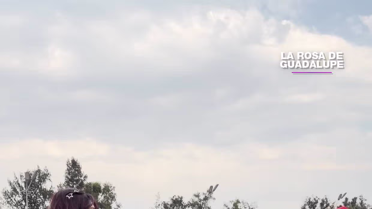 Reaccionando a escenas de 'TBS' en la Rosa de Guadalupe | Series La ...