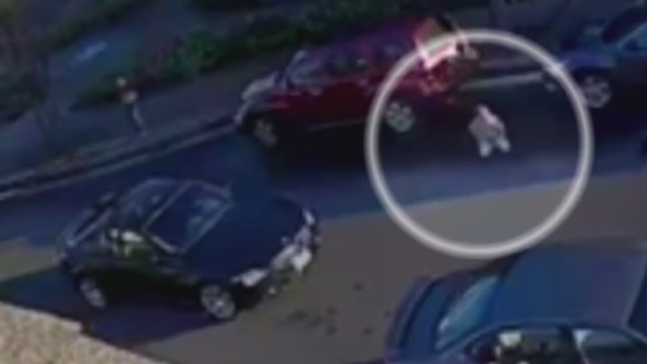 Buscan a un conductor que se dio a la fuga después de atropellar a una ...