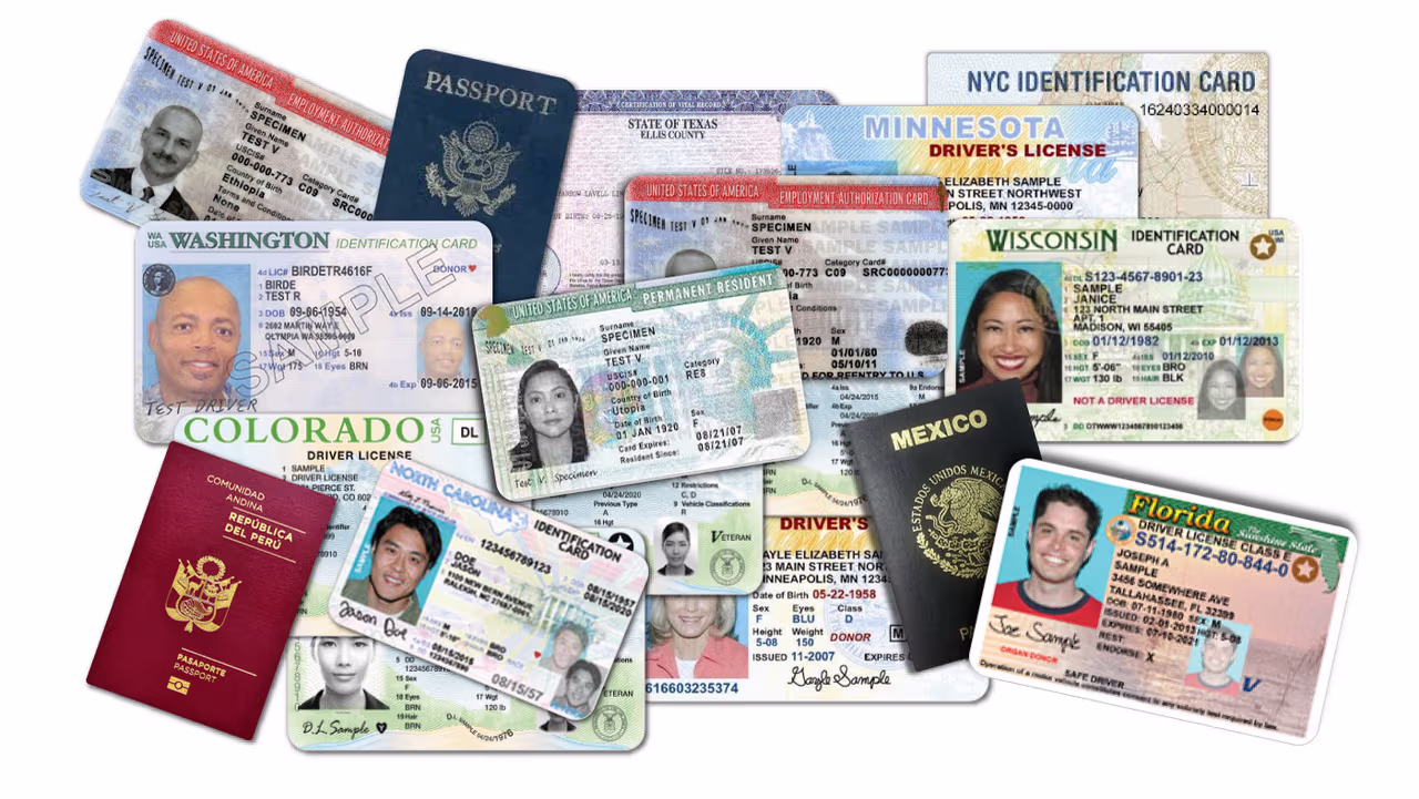 Are you undocumented, a resident or a citizen? These are the documents ...