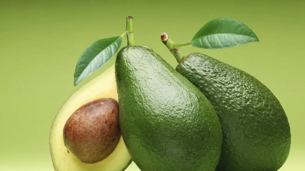 aguacate l-carnitina El mejor alimento del mundo: el | Estilo de Vida Bienestar Size:30ML spa-latino NAD 100mg + MOTS-C
