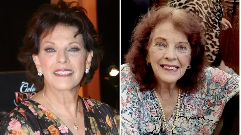 La trágica historia de Regina Torné, estrella de 'Como agua para  chocolate': su hija está en prisión por crimen