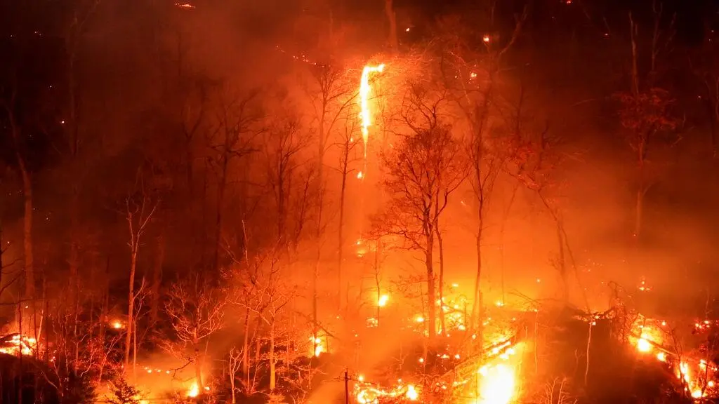 Récord de incendios forestales en Nueva York por sequía histórica | Univision Nueva York WXTV | Univision