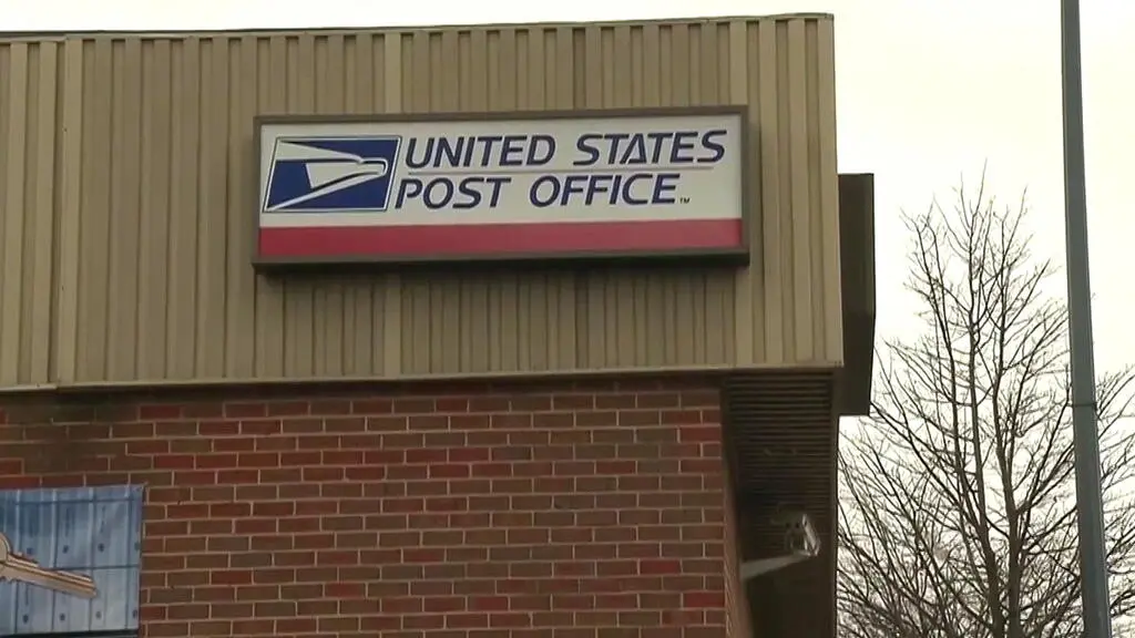 Genera confusión": analista cuestiona exigencias de Trump sobre el voto por correo