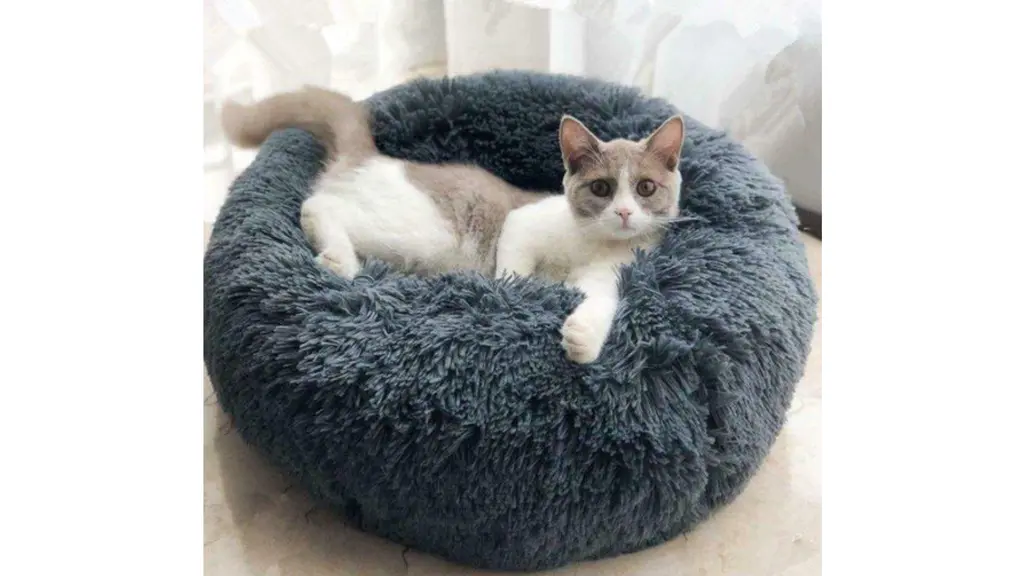 Cama de mascotas