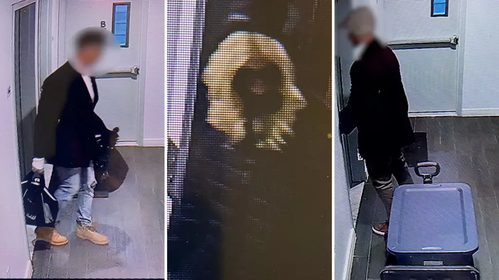 img - 2024-03-07T104605.841.jpg