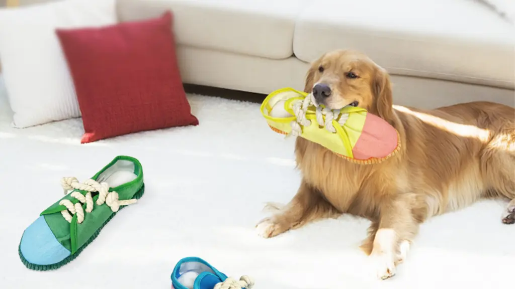 Zapato masticable