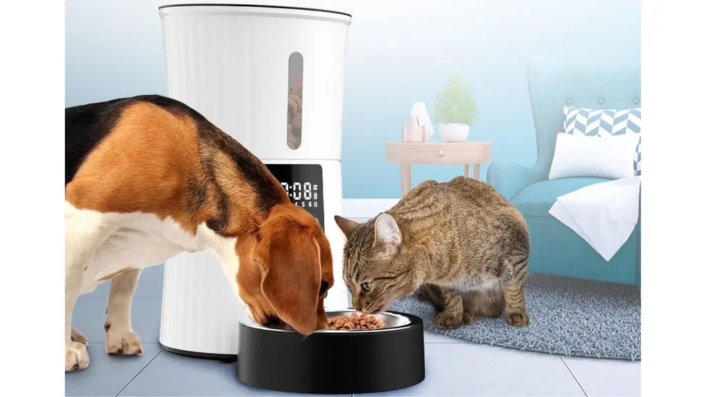 Dispensador automático de comida para mascotas